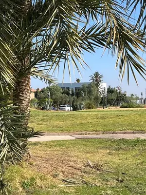 a palm tree in a park with a path at Villa PALM GOLF AMELKIS in Marrakech