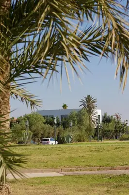 a view of a park with a palm tree at Villa PALM GOLF AMELKIS in Marrakech