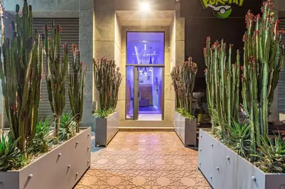 a hallway with cacti and plants in front of a door at Sakina Appartement Luxe Gueliz in Marrakech