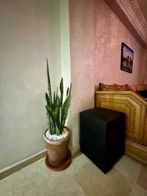 a plant in a pot next to a fireplace at Luxury Gueliz Apartment-Miramas 2 in Marrakech