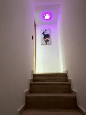a purple light on a staircase with a picture of a deer at Chic Duplex Central 3 Suites et Wi-Fi in Marrakech
