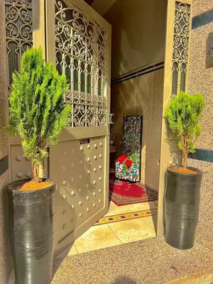 two potted trees in large black vases next to a gate at Marakech home in Marrakech