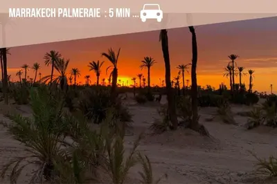 a sunset on the beach with palm trees at Appartement Haut de Gamme avec Piscine Privée et Grande Terrasse in Marrakech