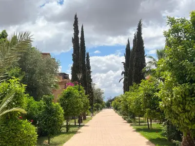 a road lined with trees and bushes at L'oasis d'Atlas Golf Resort in Marrakech