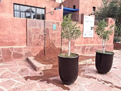 two trees in large black pots in front of a building at L'ECRIN de la PALMERAIE in Dar Caïd Layadi