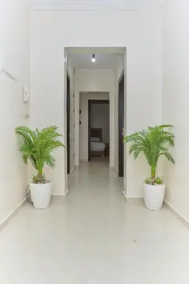 two palm trees in white pots in a hallway at appartement majorelle in Marrakech