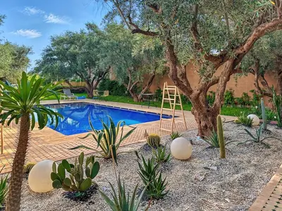 a swimming pool with a tree in a yard at Dariana guesthouse in Marrakech