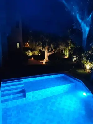 a swimming pool at night with a tree in the background at Riad Perles d'Annellia in Marrakech