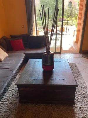a living room with a table with a plant on it at Appartement les jardins de la Palmeraie III in Marrakech