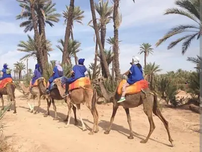a group of people riding horses on the beach at Appartement confortable et propre in Marrakech