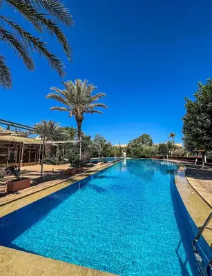 a swimming pool with blue water and palm trees at Ma kech house in Marrakech