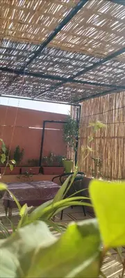 a room with a table and a plant at Riad 05 in Marrakech