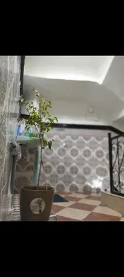 a plant in a pot sitting on a floor at Riad 05 in Marrakech
