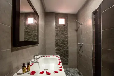 a bathroom with a sink with red roses on it at Auberge Prince in Marrakech