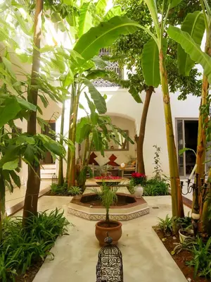 a courtyard with a bunch of trees and plants at Riad Dar Aman in Marrakech