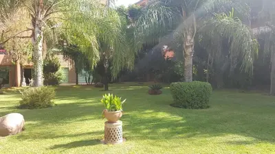 a yard with palm trees and a vase with a plant at Luxury & Cozy Apt in Hivernage in Marrakech