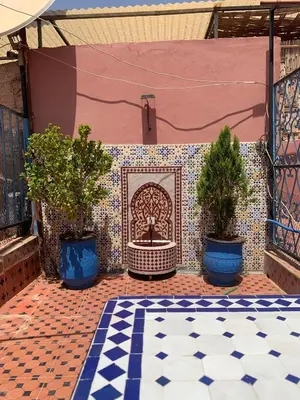 a tiled floor with two potted plants and a fountain at Riad Zifamo in Marrakech