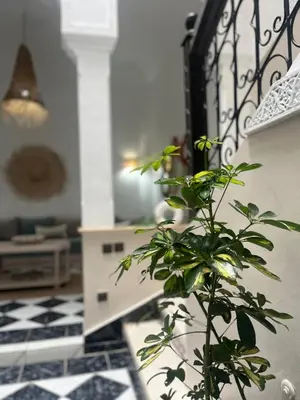 a plant in a vase in a living room at RIAD Al QARYA 4 chambres in Marrakech