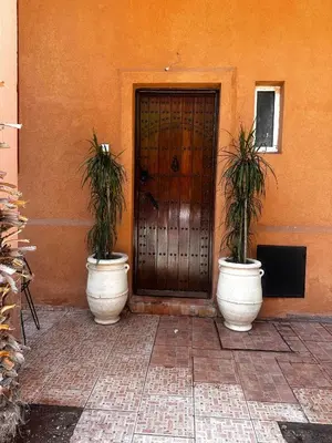 two potted plants sitting in front of a door at Riad Baba in Marrakech