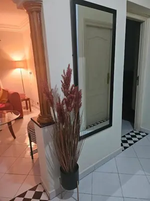 a living room with a mirror and a potted plant at Machaalah gueliz in Marrakech