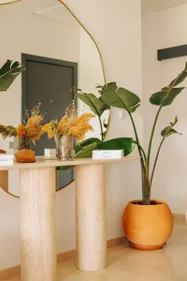 a table with a mirror and a plant on it at Z-series Appartement unique et moderne in Marrakech
