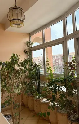 a room with a bunch of potted plants and windows at Elegant apartment near the airport in Marrakech