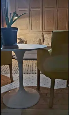 a table and a chair and a potted plant at La Terrasse in Marrakech