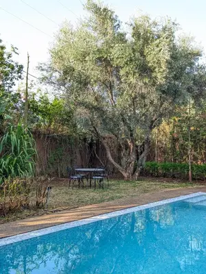 a swimming pool with a picnic table and a tree at Oasis Villa in Marrakech