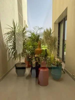 a group of potted plants sitting in a hallway at Luxury Villa Pool with Atlas View in Moussiha
