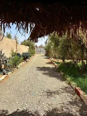 a gravel road with a straw roof over it at luxery in Aït Bou Setta