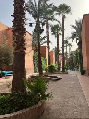 a courtyard with palm trees and a skate park at Très bel Riad avec piscine au cœur de Marrakech in Marrakech