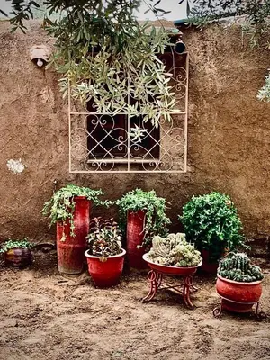 a group of potted plants sitting in front of a wall at Countryside House in Marrakech