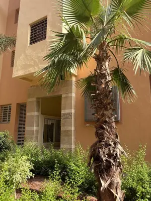 a palm tree in front of a building at Les jardins de Carlota in Marrakech