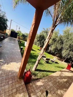 a patio with a palm tree and a vase on the ground at Excellente Villa A Proximité De Marrakech in El Aïn