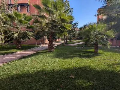 a group of palm trees in a park at Le Cocon Nature in Marrakech