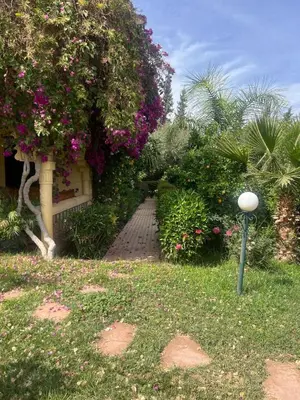 a garden with pink flowers and a walk way at Villa Louise in Marrakech