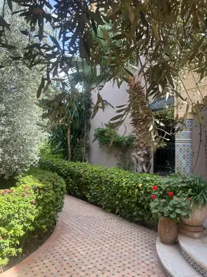 a garden with plants and flowers in front of a building at Villa Louise in Marrakech