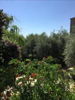 a garden filled with lots of flowers and trees at Villa Louise in Marrakech
