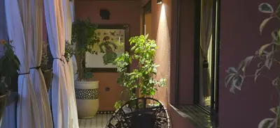 a hallway with potted plants and a chair in a room at Design Art Gallery Apartment Marrakech swimming pool on the Roof in Marrakech