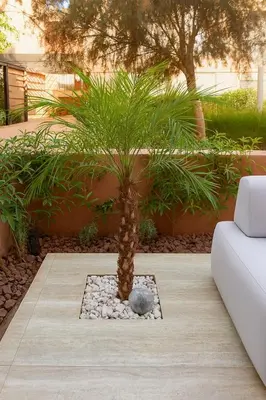 a palm tree in the middle of a garden at Cosy, Bohème au cœur de Marrakech et de la medina in Marrakech