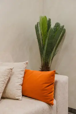 an orange pillow sitting on a couch with a plant at New 2BR AC 5min from City Center-4 to 5Guests in Marrakech