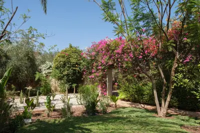 a garden with pink flowers and trees at Villa Monica in Marrakech