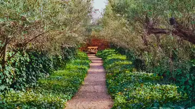 a path through a garden with a table in the distance at Villa Deneb - secret garden, swimming pool and starry sky in Marrakech