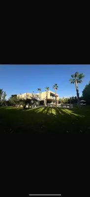 a palm tree in front of a building with a palm tree at Villa Alya in Marrakech
