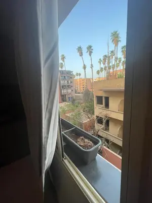 a window with a planter on a balcony with palm trees at Studio Stay Marrakech in Marrakech