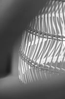 a close up of a metal object at Studio de reve au Coeur de Marrakech in Marrakech