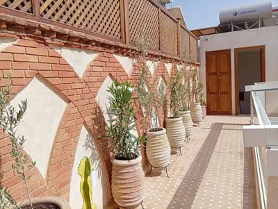 a row of potted plants on a brick wall at riad les cinq terres in Marrakech