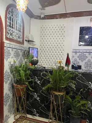 a room with potted plants on the wall at hostel Daryusssef114 in Marrakech