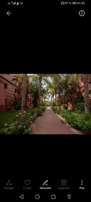 a picture of a road with trees in the distance at pation et jardin in Marrakech