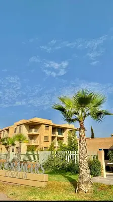 a palm tree in front of a building at Honey home Marrakech in Marrakech